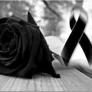 Meet your Posher, Jenni marquez